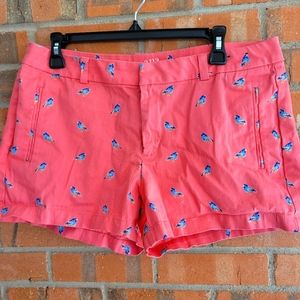 A.N.A shorts golden birds design 🐦